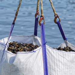 PATTON MOULES-FRITES